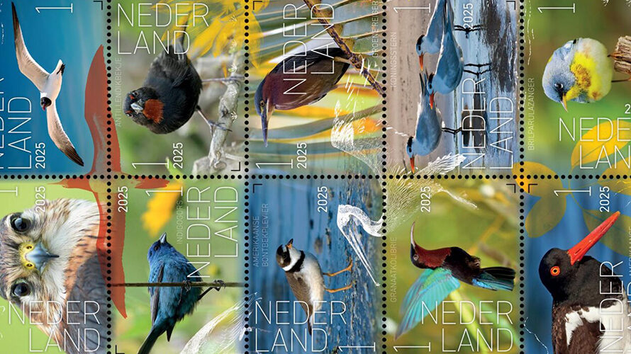 Postzegelnieuws: Beleef de natuur – vogels Sint Eustatius
