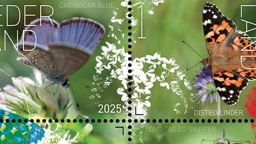 Beleef de natuur – vlinders Sint Eustatius