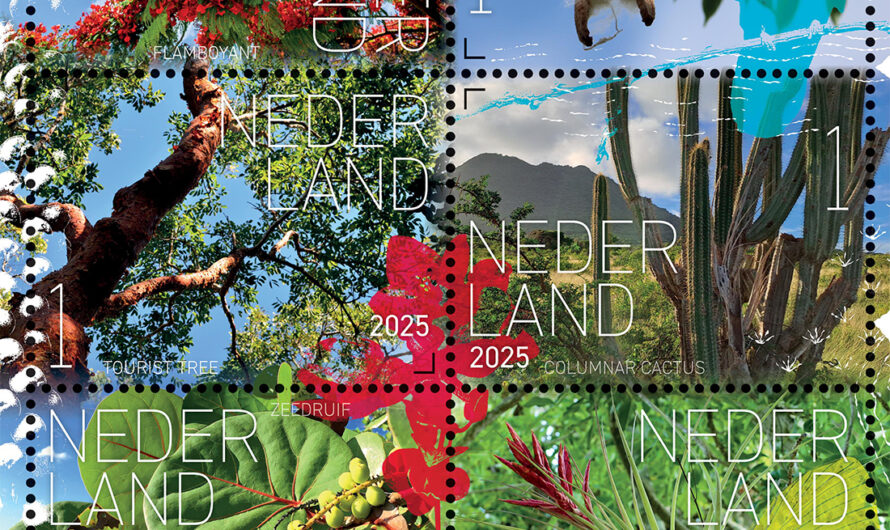 Beleef de natuur – flora Sint Eustatius